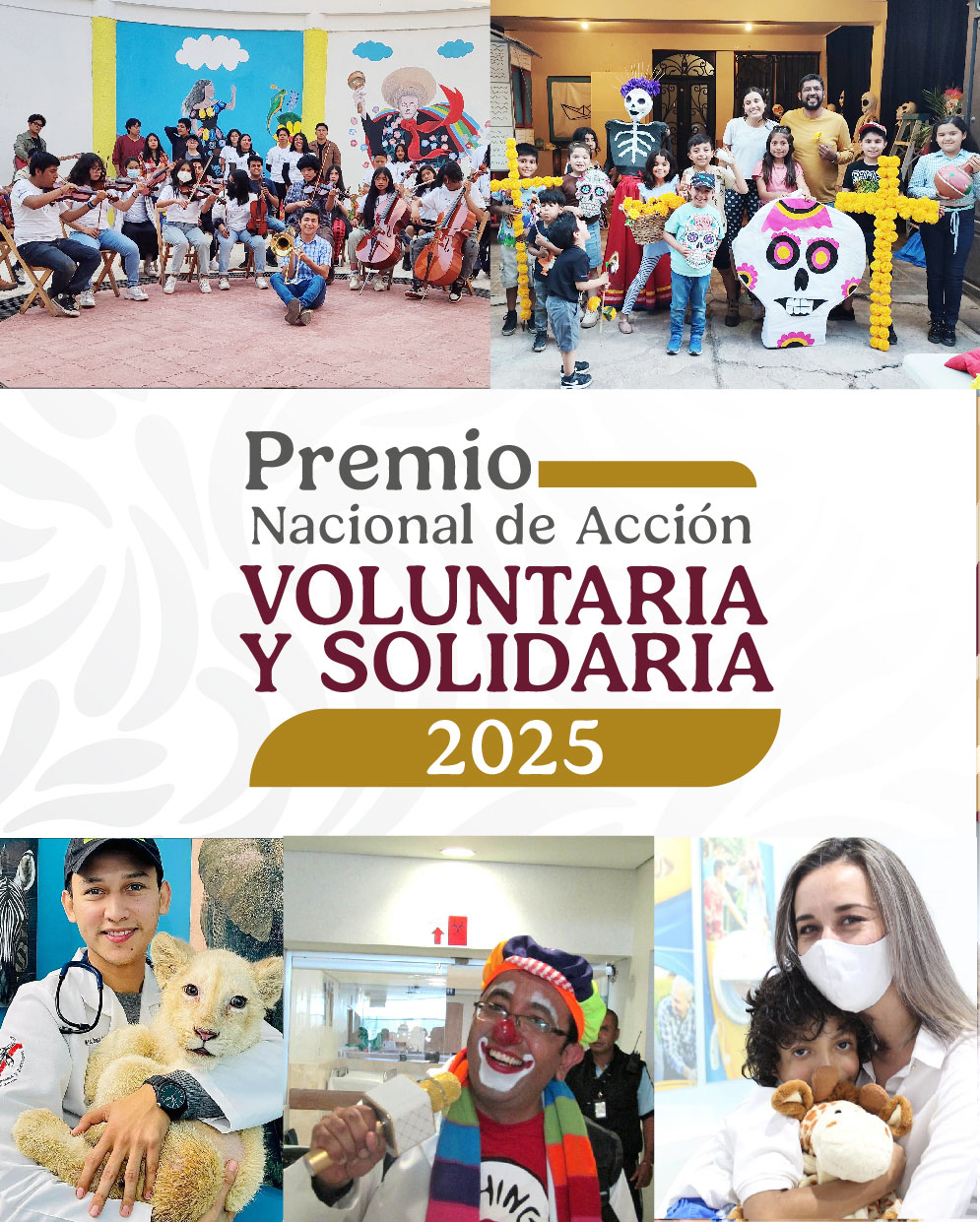 inicio